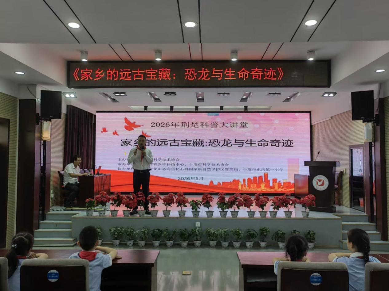 1780039135343077264.jpg 图片8.jpg
