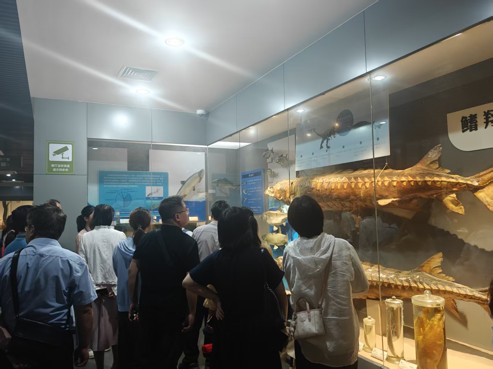 图片5.jpg