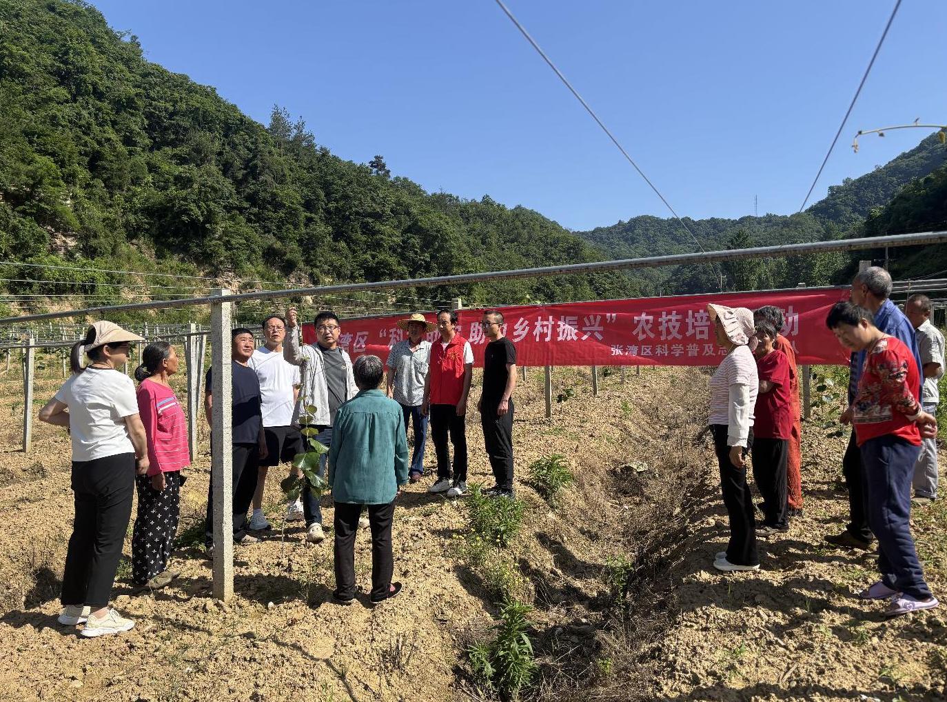 截图录屏_选择区域_20260605152339.jpg