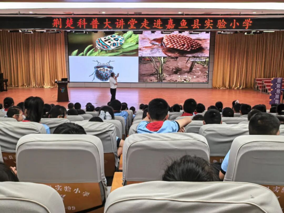 1781248577748052551.png 科普进校园+点亮科学梦243.png
