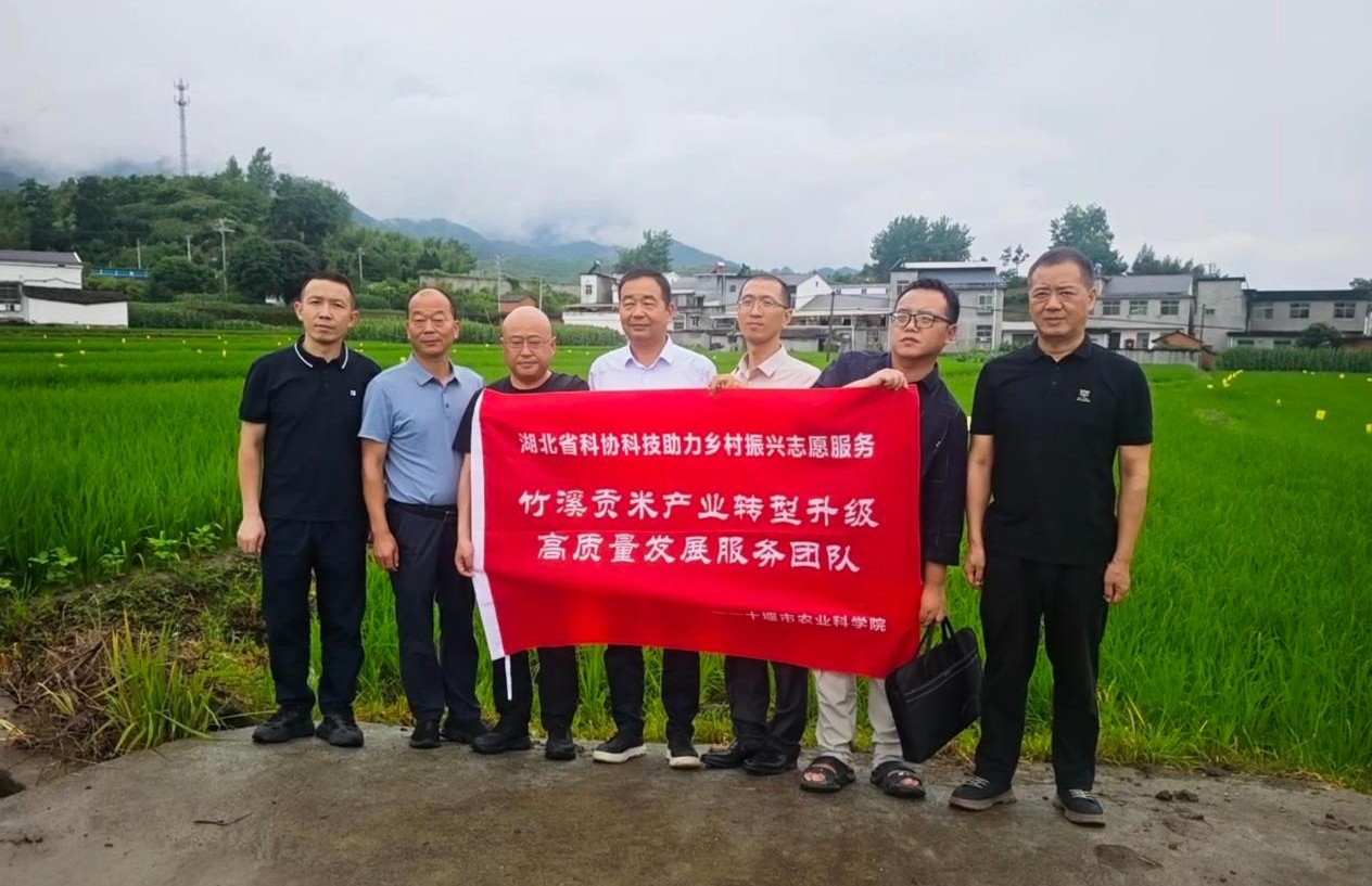 图片22.jpg