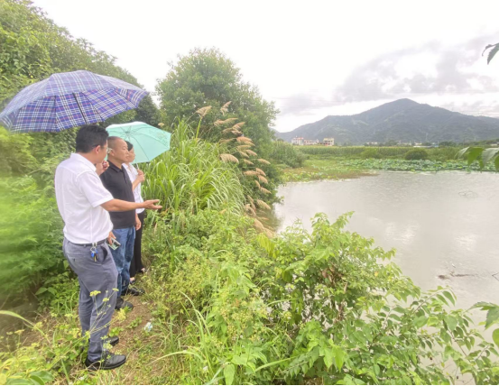 党建领航庆华诞科普赋能促振兴（定）628.png