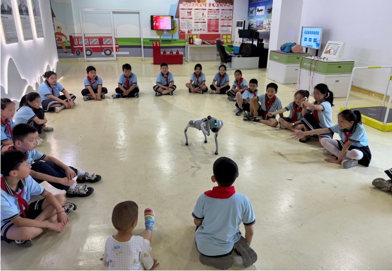 1783307389907030033.jpg 图片4.jpg