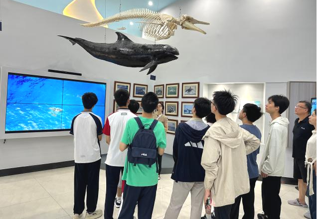 1784710929542062364.png 图片4.png