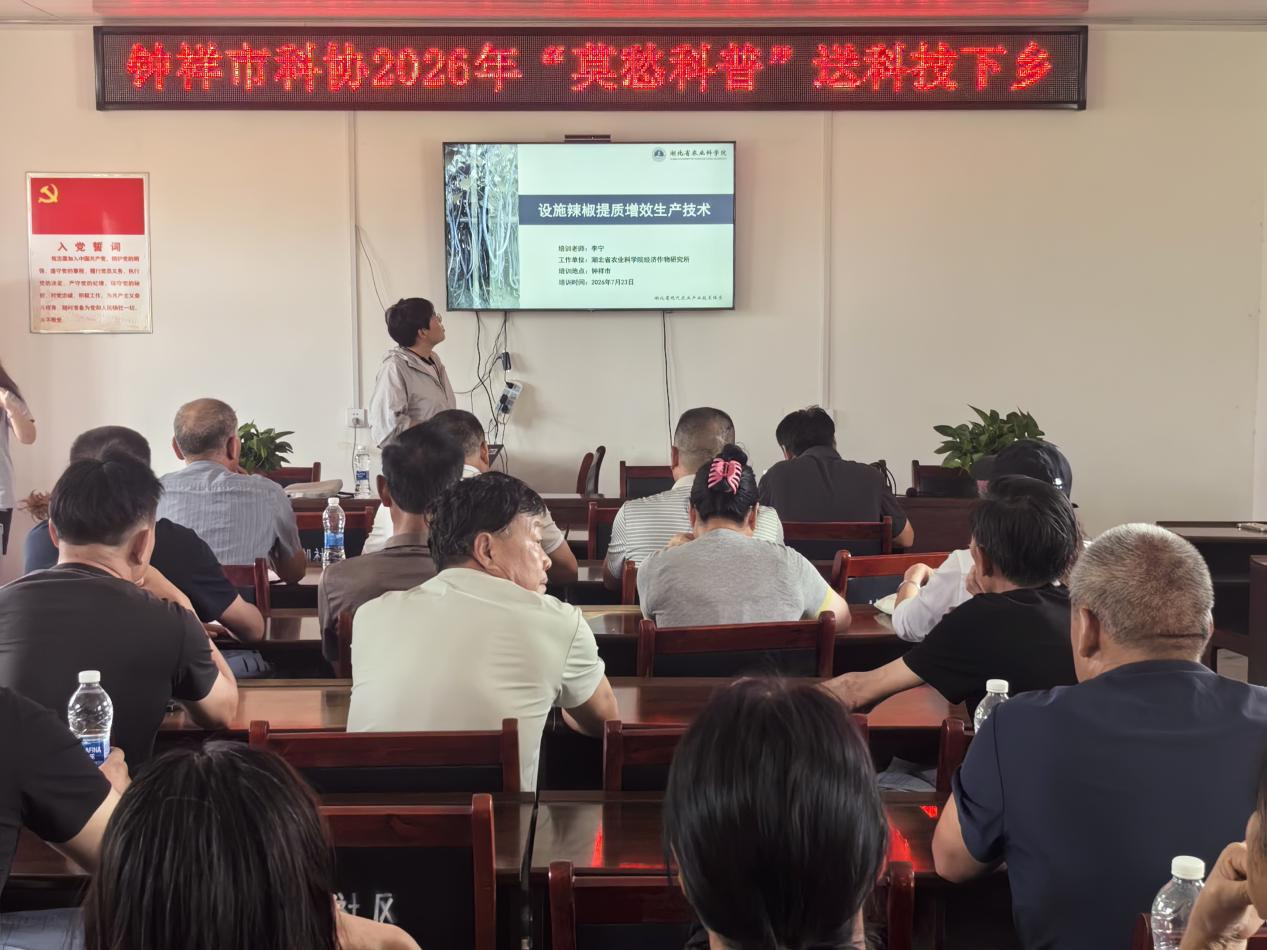 1785208280519067486.png 图片1.png