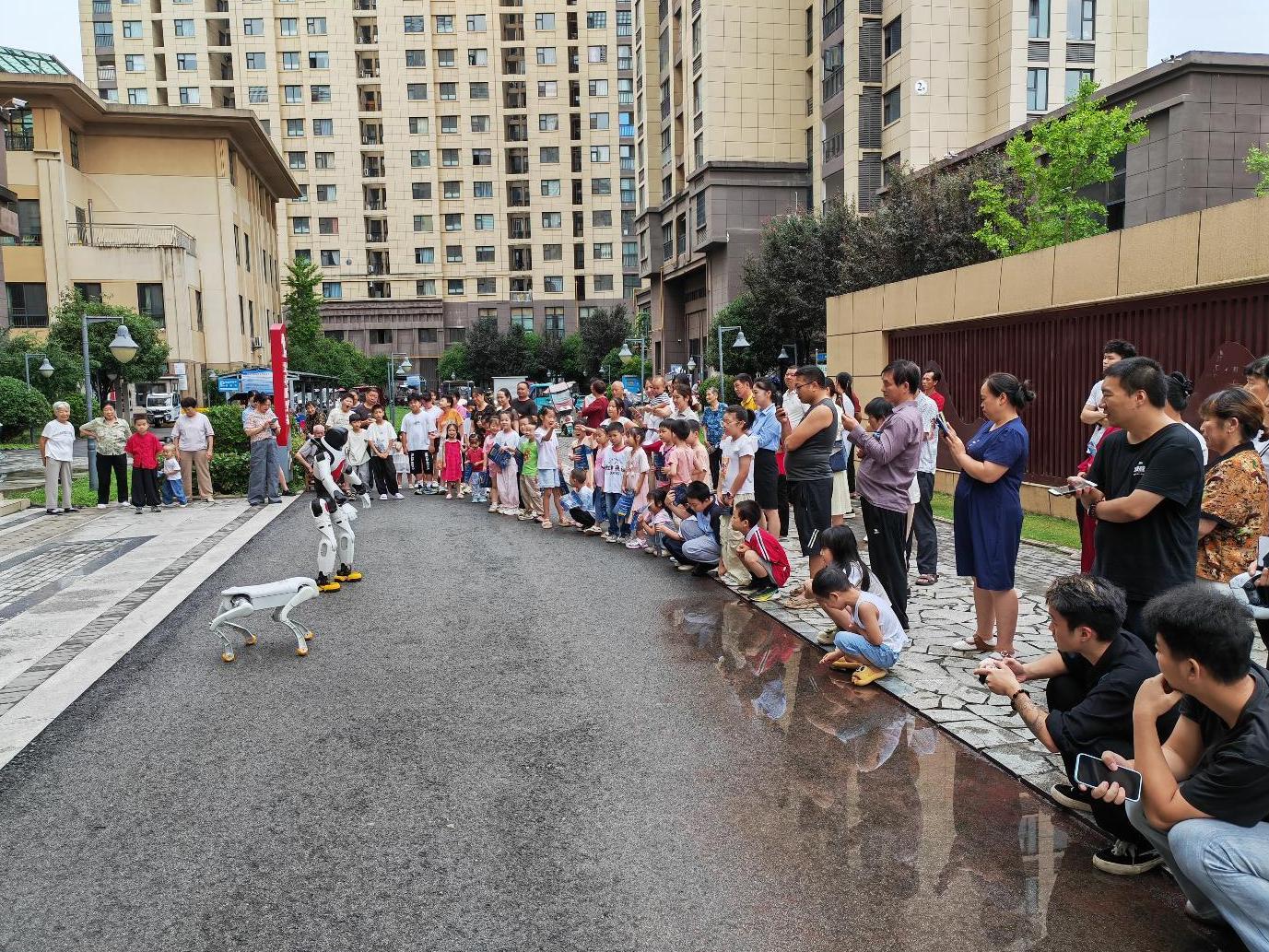 1785916003247008981.jpg 截图录屏_选择区域_20260805154544.jpg
