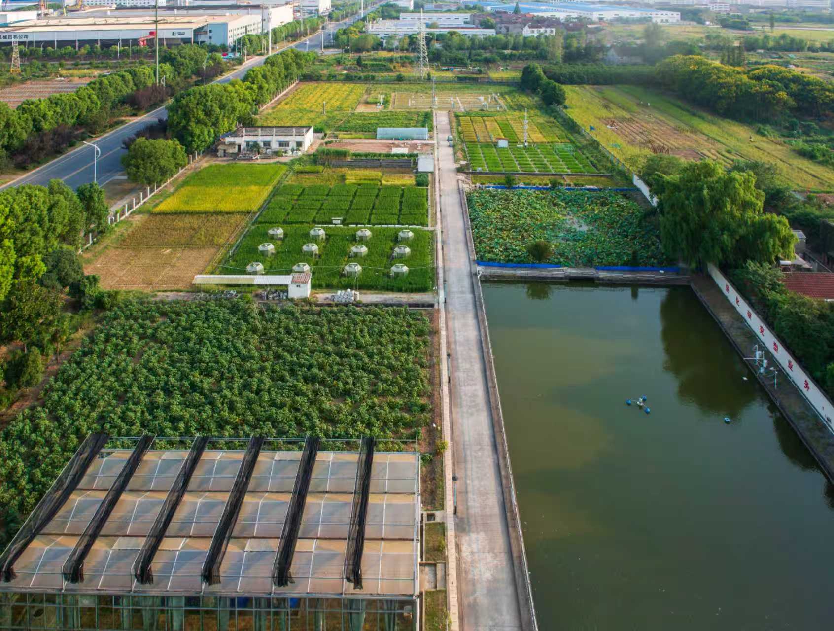1789438760492043471.jpg 荆州市气象局.jpg