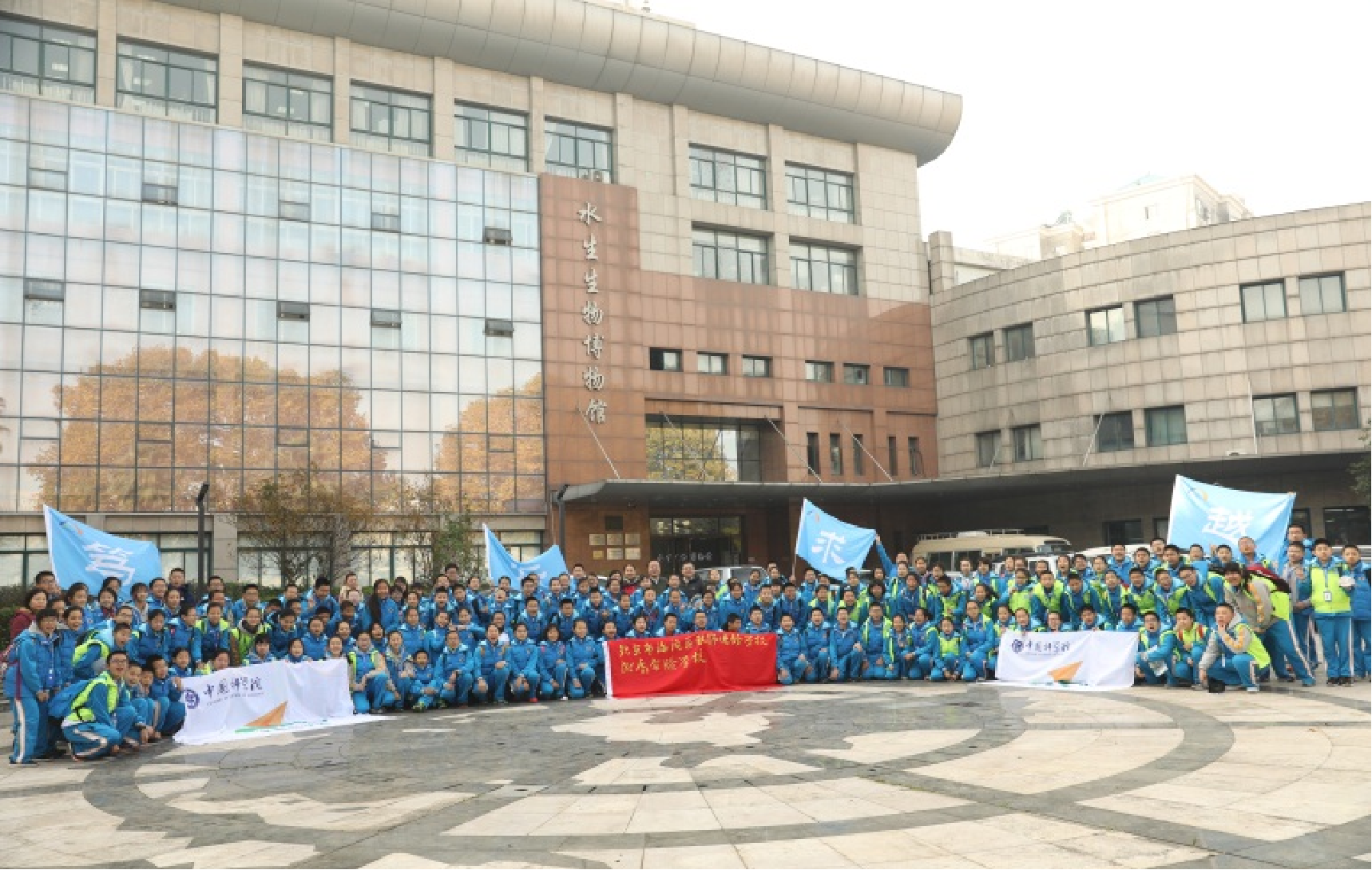 1789524948406034795.png 图片20.png