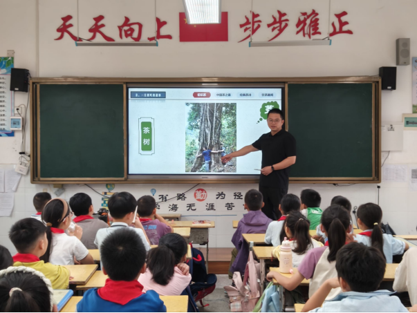1790239734352083025.png 十七小流动科学课活动新闻稿(2)545.png